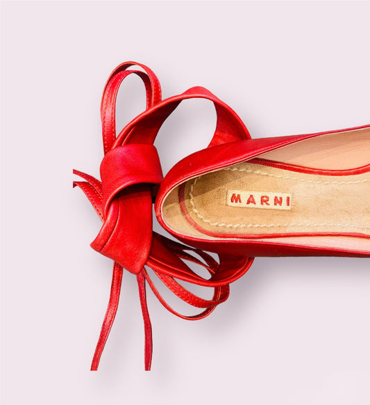 Ballet flats Marni Alice In Vintage