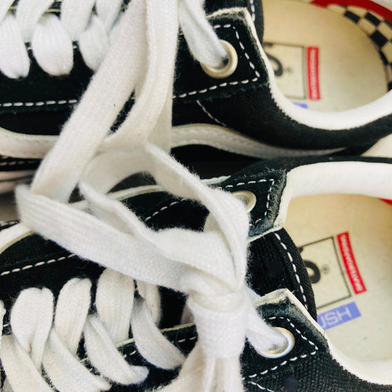 Vans new skate classics Alice In Vintage